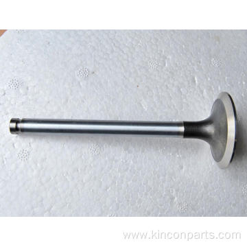 Engine Valves TPK-100